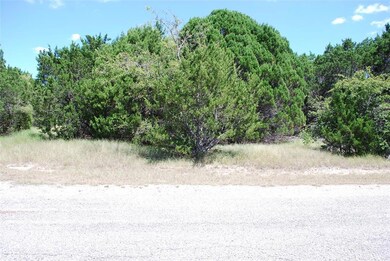 8124 High Mesa Dr, Whitney, TX 76692 - photo 3