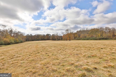 LOT 7 Mask Road - Hanner's Farm S, Brooks, GA 30205 - photo 3