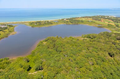 12 Trapps Pond Rd, Edgartown, MA 02539 - photo 5