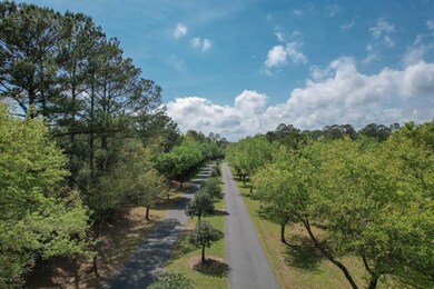 297 Parkside Cir, Crawfordville, FL 32327 - photo 3