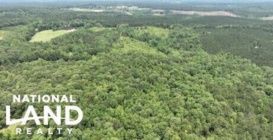 0 Lindsey Rd unit 25760188, Eclectic, AL 36024 - photo 2