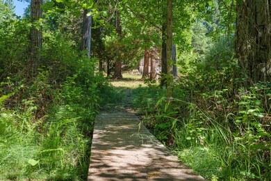 479 W Pickett Creek Rd-008