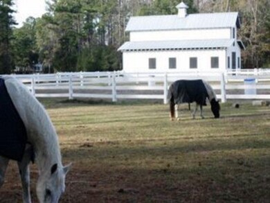 Stables