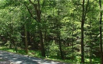 0 Crooked Pine Dr, Berkeley Springs, WV 25411 - photo 6