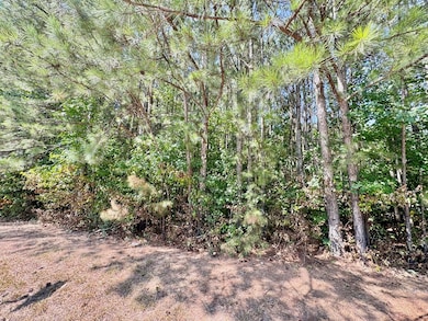 00 Atlanta Hwy, Auburn, GA 30011 - photo 7