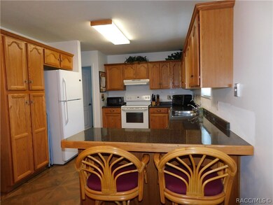 8120 SW 202nd Ave, Dunnellon, FL 34431 - photo 6