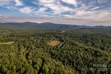 000 Silent Forest Way, Lake Lure, NC 28746 - photo 5