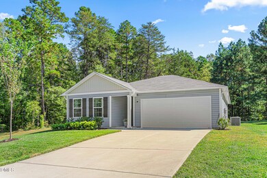 6003 Austin Falls Ct, Greene, NC 27298 - photo 2