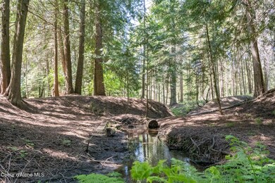 NWLL - Priest River-01