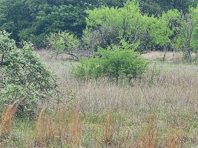 12084 Rolling Oaks Dr, Whitney, TX 76692 - photo 2