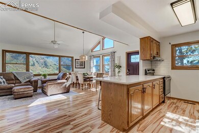 9910 Mountain Rd, Cascade, CO 80809 - photo 7