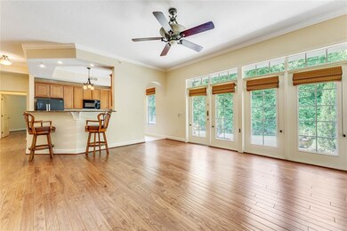 Living room and countertop kitchen bar