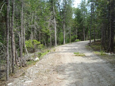 DSC02701