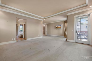 Unfurnished bed room featuring light colored carpet, crown molding, and plenty of natural light