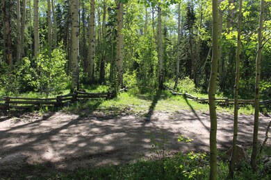 1917 S 1850 E, Brian Head, UT 84719 - photo 2