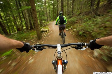 1529 Trek St, Huntsville, AL 35811 - photo 7