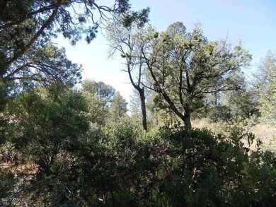 410 E Timber Dr, Payson, AZ 85541 - photo 7