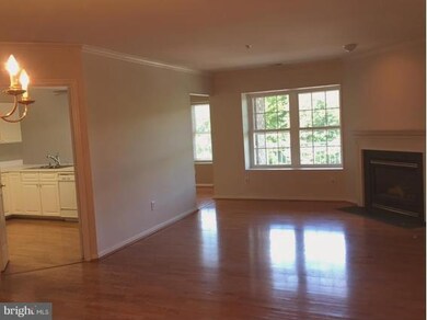 403 Plumbridge Ct unit 301, Lutherville Timonium, MD 21093 - photo 3