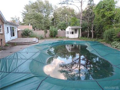 Pool In Ground. The back yard & pool area.
