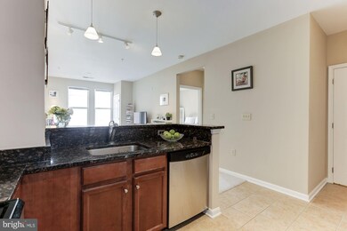 2665 Prosperity Ave unit 321, Fairfax, VA 22031 - photo 4