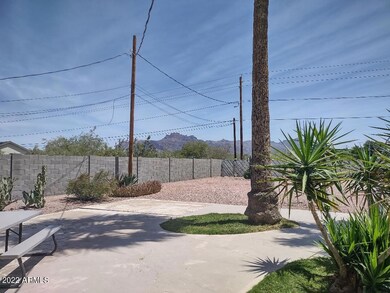 Cactus Superstition Mtn. view