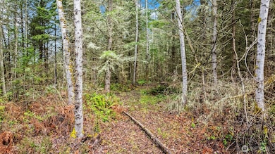 123 Highland Dr E, Roy, WA 98580 - photo 6