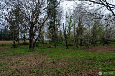 1822 E Pole Rd, Everson, WA 98247 - photo 3