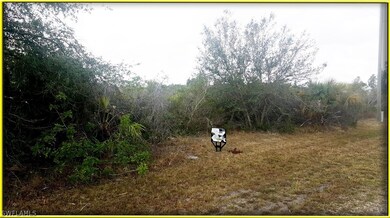 6013 Pat Ave N, Lehigh Acres, FL 33971 - photo 3