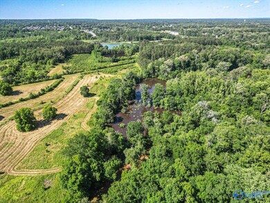 275 Beard Rd, Hartselle, AL 35640 - photo 6