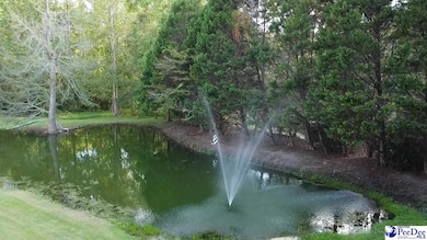 0 State Road S-21-869, Florence, SC 29501 - photo 7