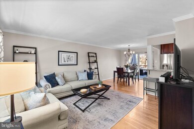 3819 Gelding Ln, Olney, MD 20832 - photo 7