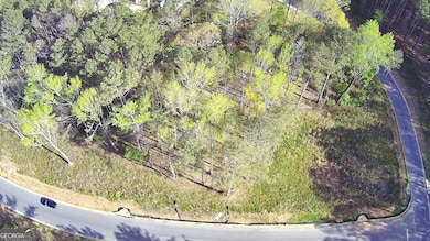 189 Spyglass Cir, McDonough, GA 30253 - photo 3