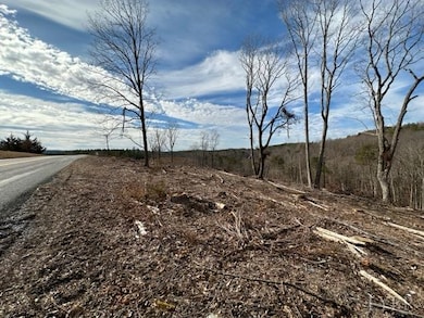 0 Leesville Rd, Lynch Station, VA 24571 - photo 3