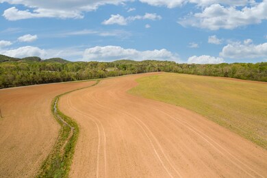 Baugh_Springs_Rd