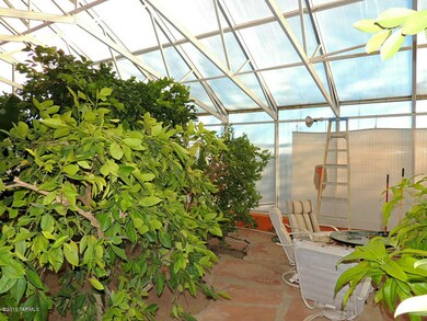 Inside Greenhouse