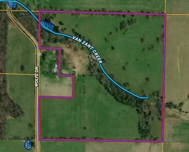 000 Wolfe, Mountain Grove, MO 65711 - photo 6