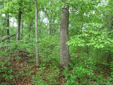 View Of Timber 1
