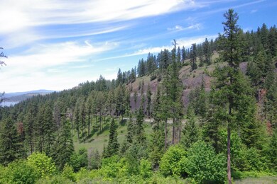 Lt 3 Blk 2 Promontory, Harrison, ID 83833 - photo 4