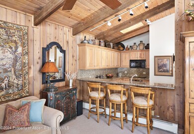 800 S Monarch St unit 6, Aspen, CO 81611 - photo 5