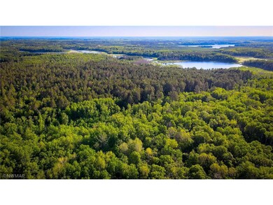DJI_0783.00_02_56_09.Still003-2.jpg