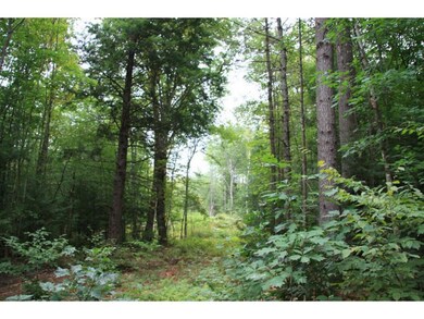 3 Loon Lake Rd, Plymouth, NH 03264 - photo 5