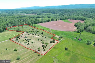 0 15 79 Acres Highland Rd, Wardensville, WV 26851 - photo 7