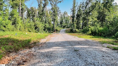 500 Chinquapin Rd, Travelers Rest, SC 29690 - photo 4