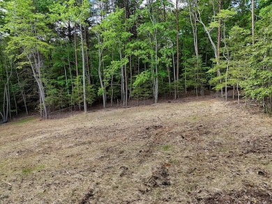 0 The Landing unit 415661, Blairsville, GA 30512 - photo 7