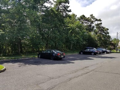 707 alpine parking area