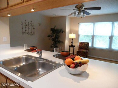 2802 Clear Shot Dr unit 536, Silver Spring, MD 20906 - photo 6