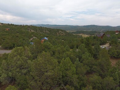 DJI_0078