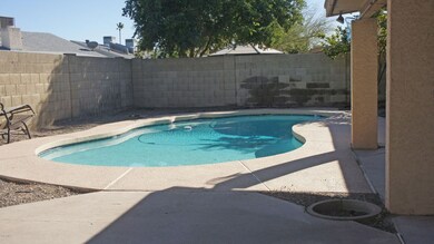 backyard 2