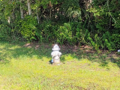 Fire Hydrant in front of land.