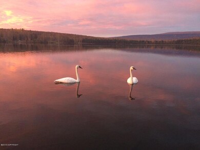 Wildlife